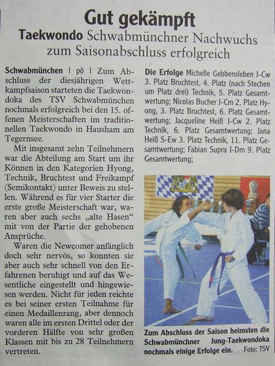  15. offene Meisterschaft im traditionellen Taekwondo
