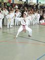 Taekwondo_Bad_Kissingen_201426.jpg