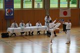 8_Allkampf_Jitsu_Landkreismeisterschaft_2014_31.jpg