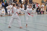2016_10_22_22_Bayerische_Taekwondo_Meisterschaft_Bobingen_018.jpg