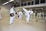 Training_Taekwondo_27.jpg