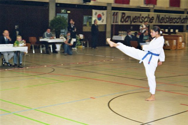bm_taekwondo_lauingen_11_05__1_.jpg