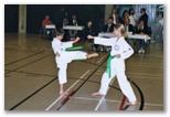 bm_taekwondo_lauingen_11_05__3_.jpg