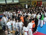 Taekwondo_Bad_Kissingen_201407.jpg