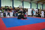 Taekwondo_Bad_Kissingen_201416.jpg