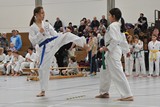 Taekwondomeisterschaft_Lauingen_11_2015_039.jpg
