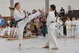 Taekwondomeisterschaft_Lauingen_11_2015_040.jpg