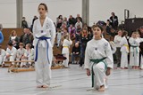 Taekwondomeisterschaft_Lauingen_11_2015_041.jpg