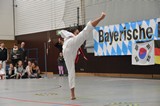 Taekwondomeisterschaft_Lauingen_11_2015_043.jpg