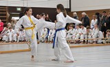 Taekwondomeisterschaft_Lauingen_11_2015_048.jpg