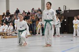 Taekwondomeisterschaft_Lauingen_11_2015_052.jpg