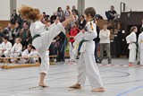 Taekwondomeisterschaft_Lauingen_11_2015_053.jpg