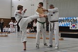 Taekwondomeisterschaft_Lauingen_11_2015_054.jpg