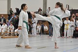 Taekwondomeisterschaft_Lauingen_11_2015_057.jpg