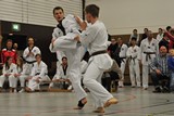 Taekwondomeisterschaft_Lauingen_11_2015_131.jpg