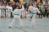 2016_10_22_22_Bayerische_Taekwondo_Meisterschaft_Bobingen_005.jpg