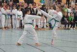 2016_10_22_22_Bayerische_Taekwondo_Meisterschaft_Bobingen_006.jpg