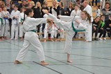 2016_10_22_22_Bayerische_Taekwondo_Meisterschaft_Bobingen_008.jpg
