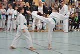 2016_10_22_22_Bayerische_Taekwondo_Meisterschaft_Bobingen_009.jpg
