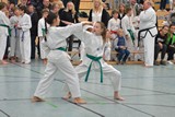 2016_10_22_22_Bayerische_Taekwondo_Meisterschaft_Bobingen_010.jpg