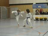 14_bayrische_Taekwondo_07.jpg