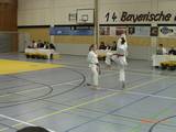 14_bayrische_Taekwondo_14.jpg
