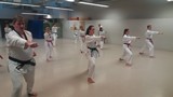 Taekwondo_Training_2016_02.jpg
